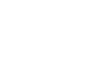 IBR Soft